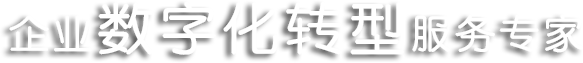 企業(yè)數(shù)字化轉(zhuǎn)型服務(wù)專(zhuān)家